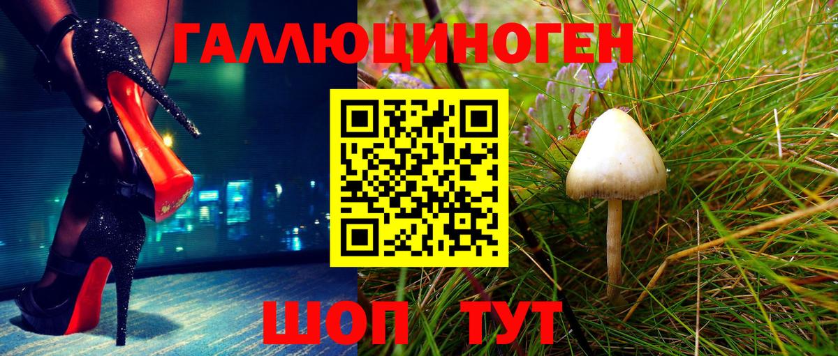 Псилоцибиновые грибы Psilocybe Асино