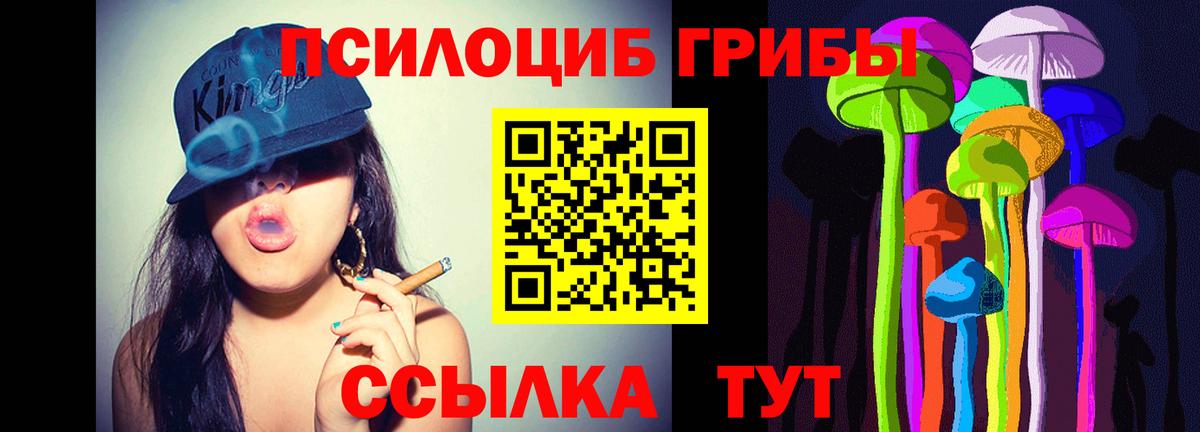 Галлюциногенные грибы мицелий  Псилоцибиновые грибы ЛСД  Вход с VPN  Асино 
